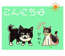 568882898