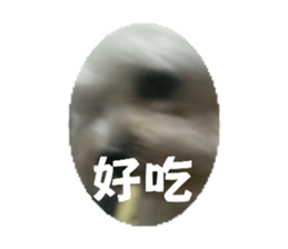 568928219