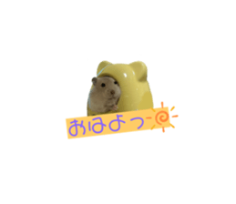 569042934