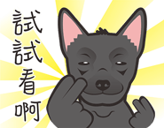 569100158