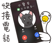 569100177