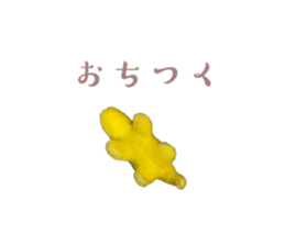 569121644