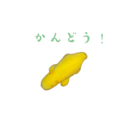 569121645