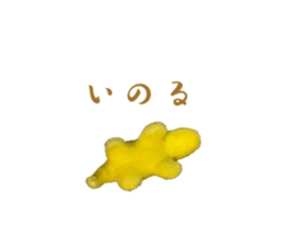 569121649