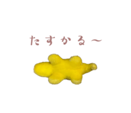 569121656