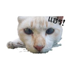 569143999