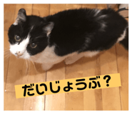 569145443