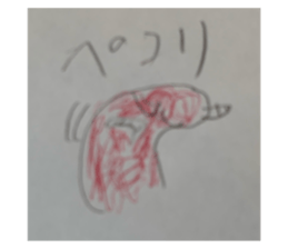 569155897