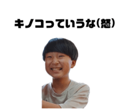569181330