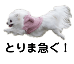 569251672