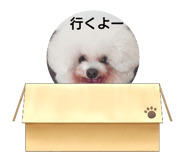 569266037