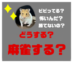 569297451