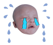 569321021