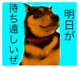 569343403