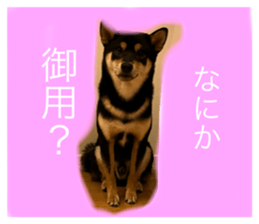 569343405