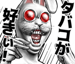 569409206