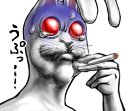 569409241
