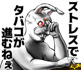 569409243