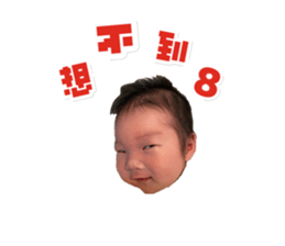 569411544
