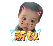 569426981