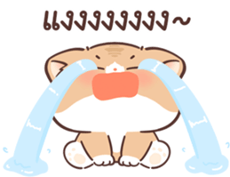 569457924