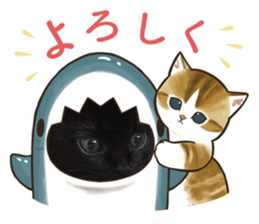 569490293