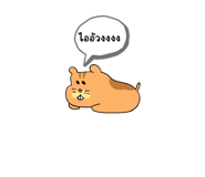 569537271