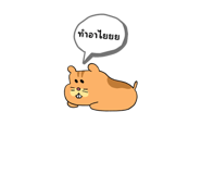 569537274