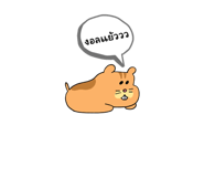 569537276