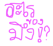 569537924