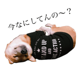 569545779