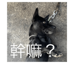569553614