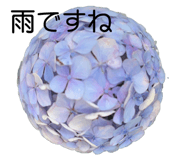 569603210