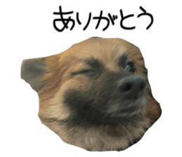 569607616