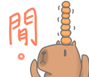 569639304
