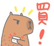 569639305