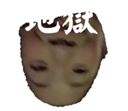 569666167