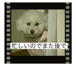 569730823