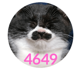 569743846