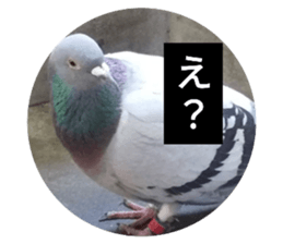 569743854