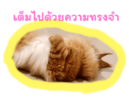 569759862