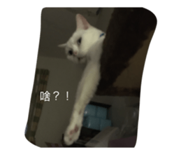569798481