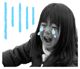 569800337