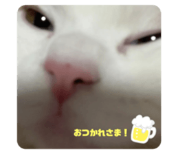 569858828