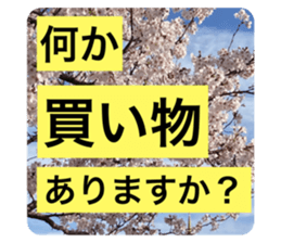 569873173