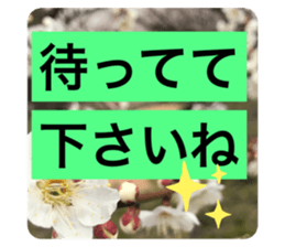 569873176