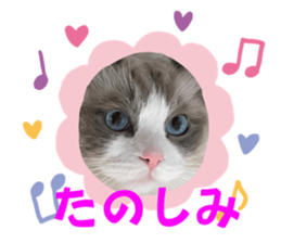 569873815