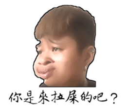 569912942