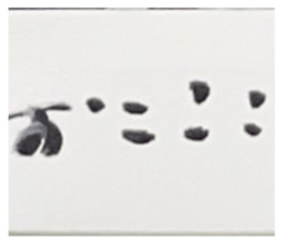 569964002