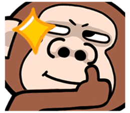 569975904